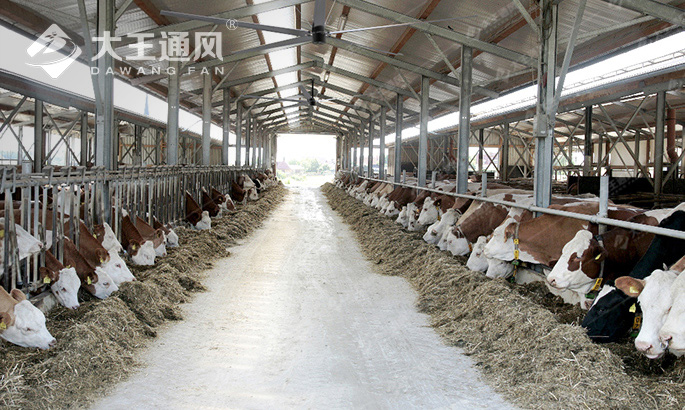 放畜牧养殖安装大型工业吊扇